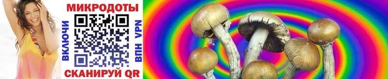 Галлюциногенные грибы Magic Shrooms  дарнет шоп  Демидов 