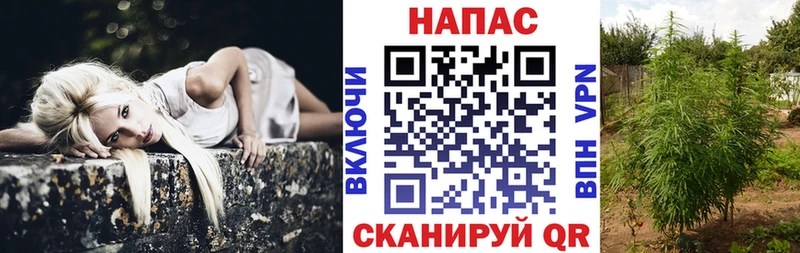 Каннабис Amnesia  Демидов 